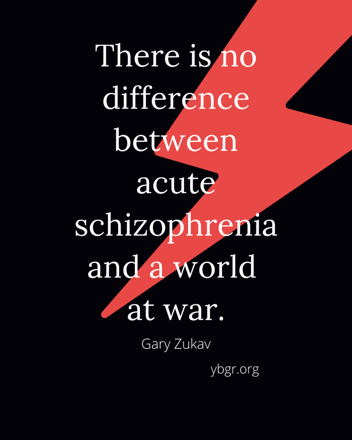 Quote 11 - There is no difference between acute schizophrenia and a world at war.