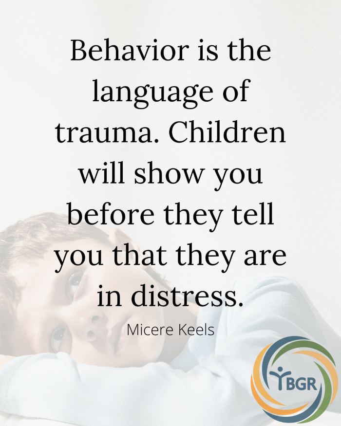 Quote 2 - Behavior is the language of trauma.