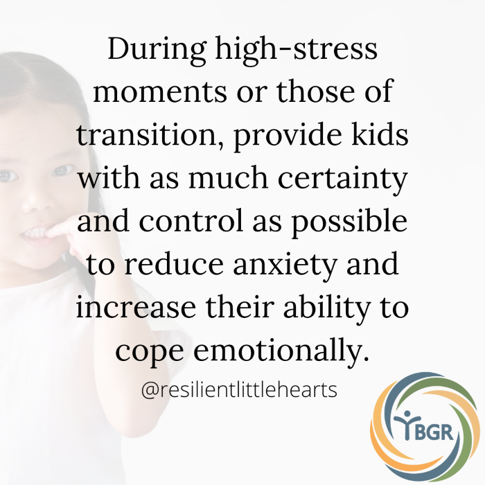 Quote 12- During moments of stress and anxiety