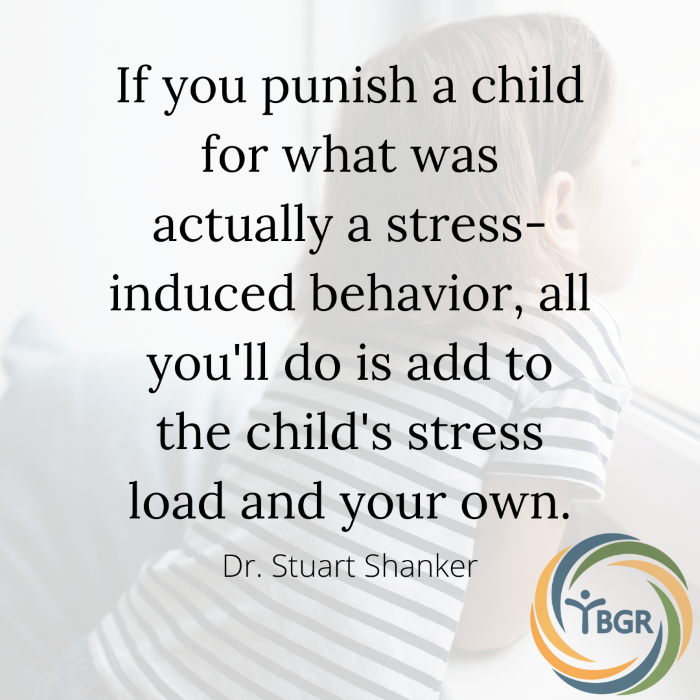 Quote 9 - If you punish a child for what was actually a stress-induced behavior