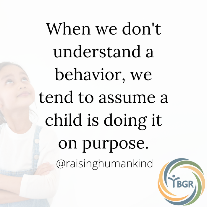 Trauma Understand Behavior