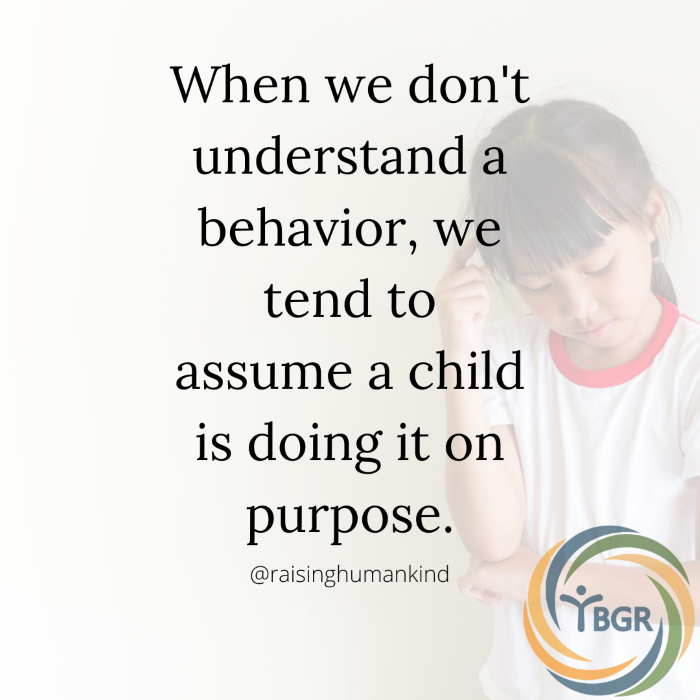 Quote 1 - When we don't understand a behavior