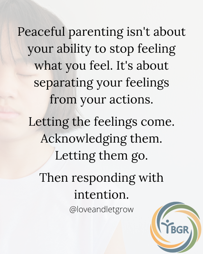 Quote 13 - Peaceful parenting isn’t about your ability to stop feeling what you feel