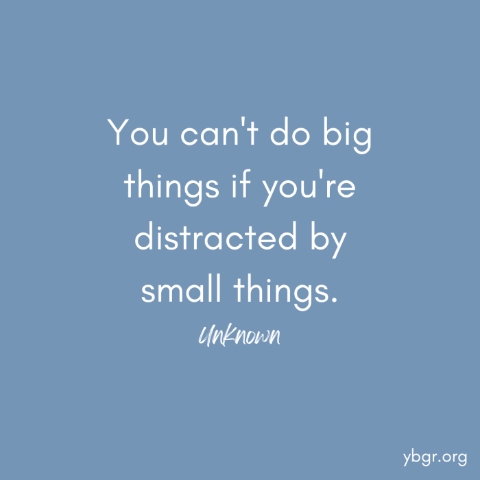 Quote 15 - You can’t do big things if you’re distracted by small things