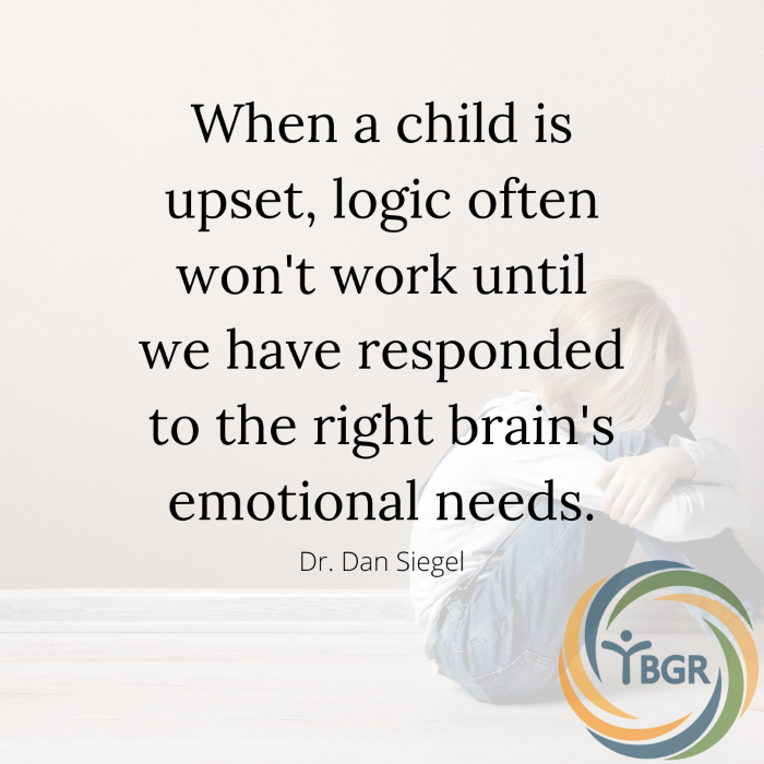Quote 4 - When a child is upset logic often won’t work