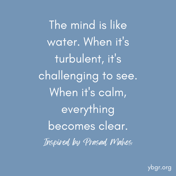 Quote 5 - The mind is like water