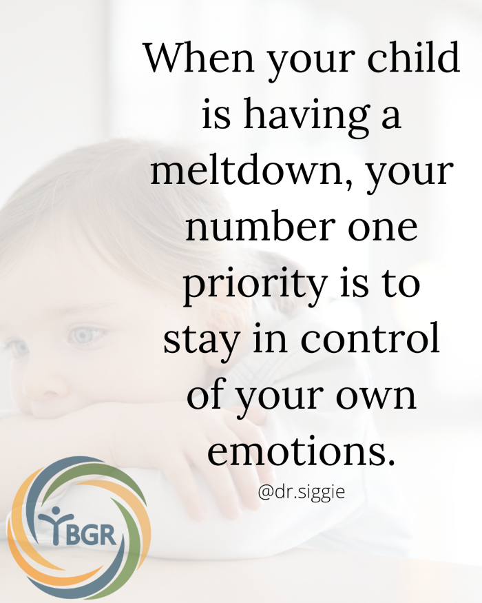Quote 7 - When your child is having a meltdown