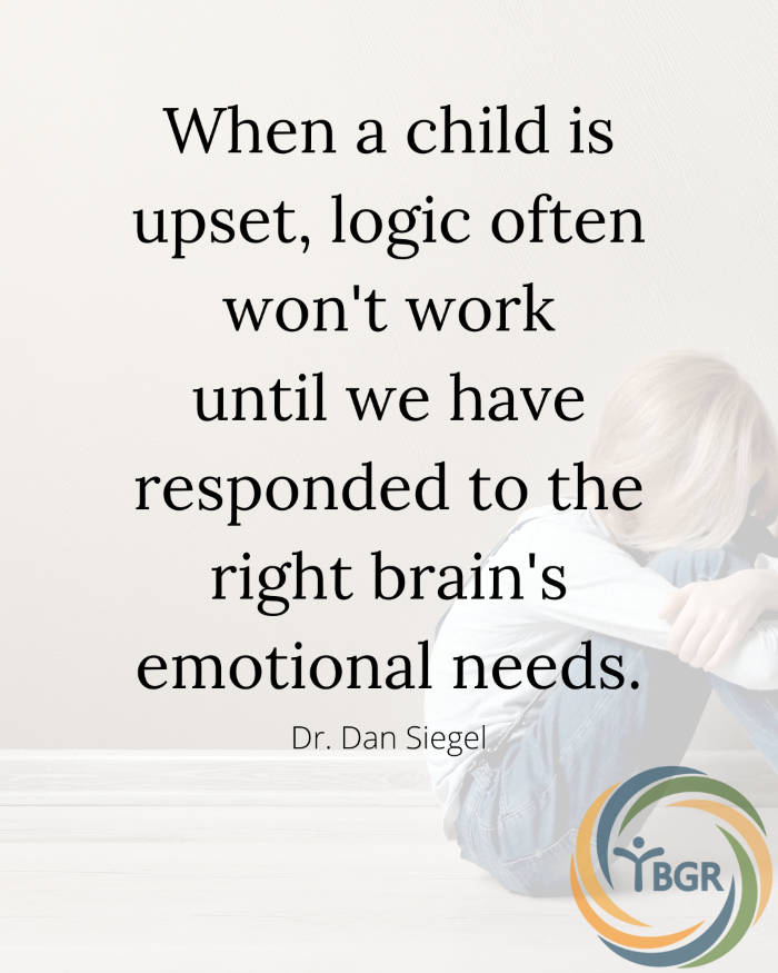Quote 15 - When a child is upset, logic often won't work