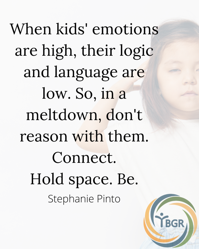 Quote 2 - When kids' emotions are high, their logic and language are low.