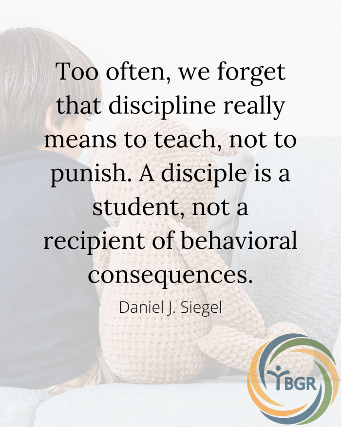Quote 2 - discipline really means to teach