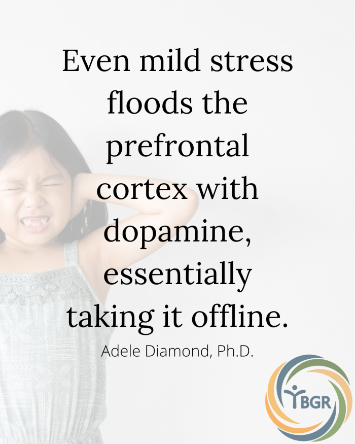 Quote 3 - Even mild stress floods the prefrontal cortex with dopamine